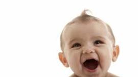 Timeline: angel david arguello anillo