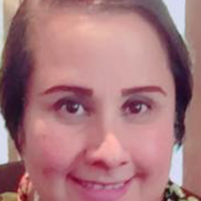 Timeline: MONICA P. CASTRO, Inicio Profesional