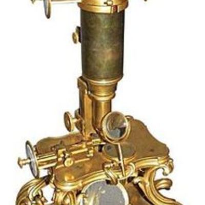 Timeline: Principios de la Biologia (desarrollo del estudio del microscopio)