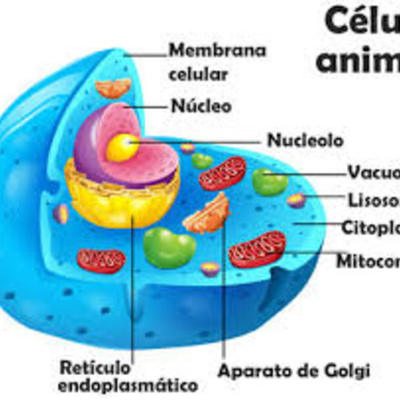 Timeline: La Biología molécular en la historia.