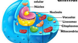 Timeline: La Biología molécular en la historia.