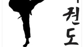 Timeline: History of Tae Kwon Do