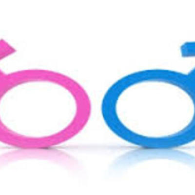 Timeline: IGULDAD DE GENEROS