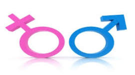 Timeline: IGULDAD DE GENEROS