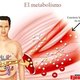 Metabolismo