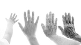 Timeline: Generaciones