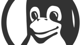 Timeline: Linea de tiempo sobre el software libre y el código abierto.