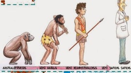 Timeline: evolución salud ocupacional