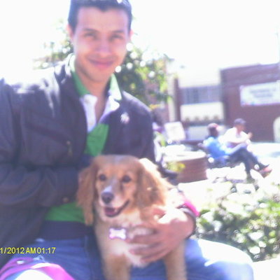 Timeline: Marco Legal Farmacovigilancia y Tecnovigilancia-Edwin Alberto Gonzalez Vasquez-Soacha Cundinamarca