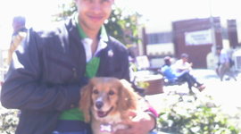 Timeline: Marco Legal Farmacovigilancia y Tecnovigilancia-Edwin Alberto Gonzalez Vasquez-Soacha Cundinamarca