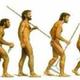 Imagen d evolucion