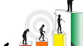 Timeline: EVOLUCIÓN DE LAS ORGANIZACIONES