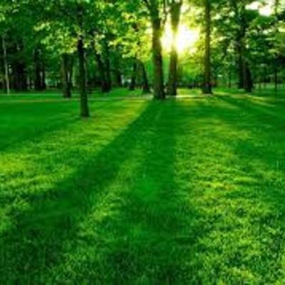 Timeline: linea de tiempo