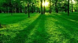 Timeline: linea de tiempo