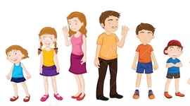 Timeline: Etapas del desarrollo humano