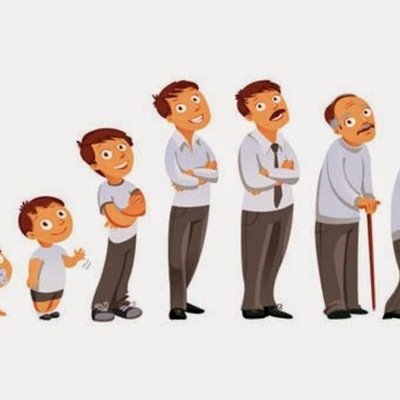 Timeline: etapa del desarrollo humano