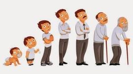 Timeline: etapa del desarrollo humano