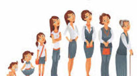 Timeline: Etapas del crecimiento