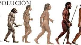 Timeline: La Evolucion De Los Seres Vivos: Evidencias y Evolucion