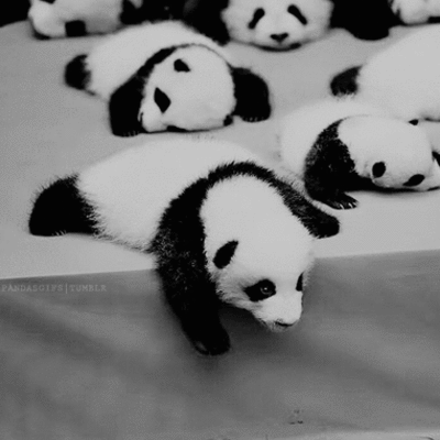 Timeline: David Flores Becerril A01368391