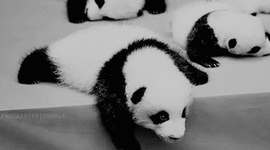 Timeline: David Flores Becerril A01368391