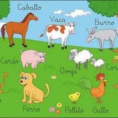 Timeline: LINEA DE TIEMPO CLASIFICACIÓN DE ANIMALES SEGÚN SU ALIMENTACIÓN