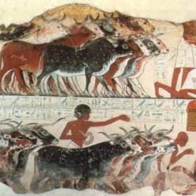 Timeline: Historia de la ganadería en México