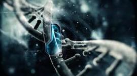 Timeline: "Las tecnologias y Yo"