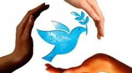 Timeline: Antecedentes de los derechos humanos