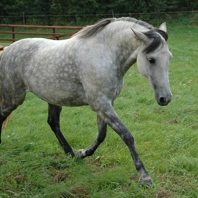 Timeline: Historique