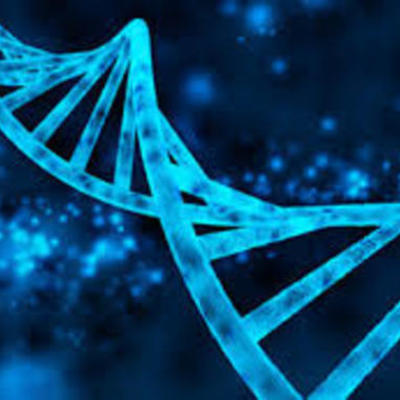 Timeline: Evolución de la Genética