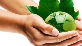 Timeline: Historia del desarrollo sustentable