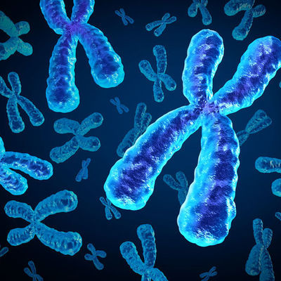 Timeline: Historia de la genetica