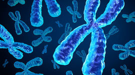 Timeline: Historia de la genetica