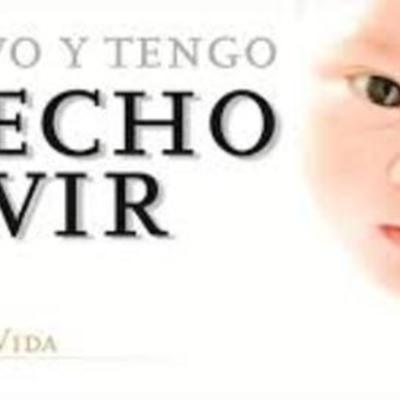 Timeline: Que son los derechos humanos