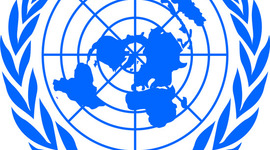 Timeline: Hitos y Proceso Histórico de los Derechos Humanos, Conceptualización, Naturaleza y Principios