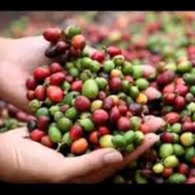 Timeline: COLOMBIA Y EL MUNDO 1900-1950