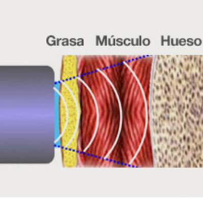 Timeline: Historia de la Antropometría