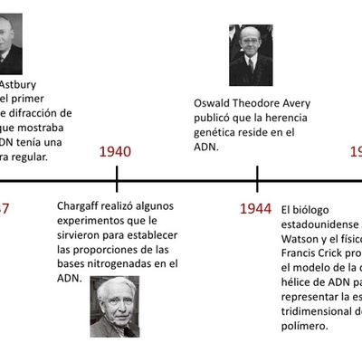 Timeline: LA GENETICA