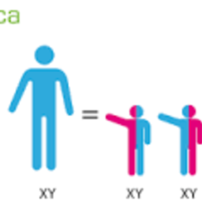 Timeline: Historia De La Genetica