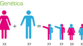 Timeline: Historia De La Genetica