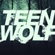 Teen wolf e demais