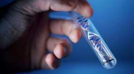 Timeline: Historia De La Genetica