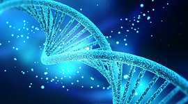 Timeline: Historia De La Genética