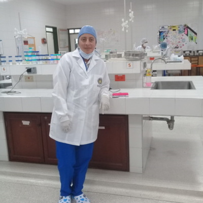 Timeline: Marco legal Farmacovigilancia y Tecnovigilancia-Yeny Amanda Canacuan Puenayan-Cumbal-Nariño