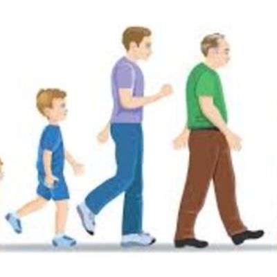 Timeline: Etapas del desarrollo humano