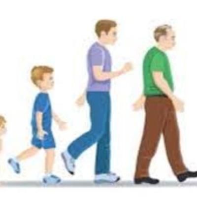 Timeline: Desarrollo humano