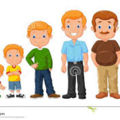 Timeline: Etapas del desarrollo humano