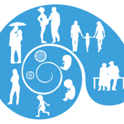 Timeline: Etapas del desarrollo humano