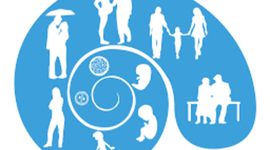 Timeline: Etapas del desarrollo humano